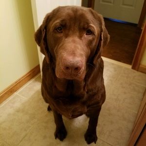 Meet your Posher, Katelyn